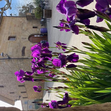La Posada De Leza Laguardia Ngoại thất bức ảnh