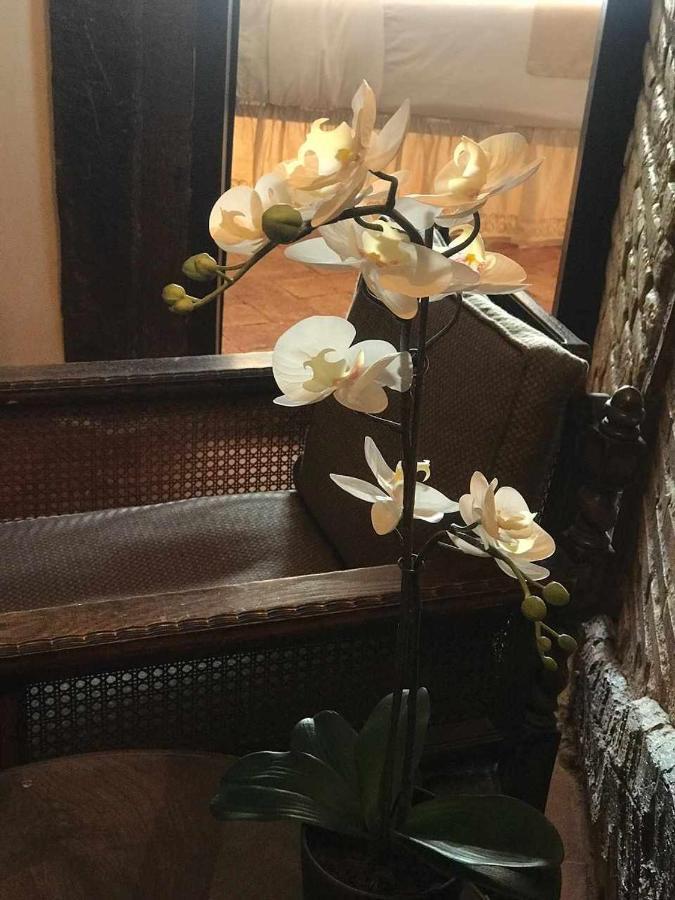 La Posada De Leza Laguardia Ngoại thất bức ảnh